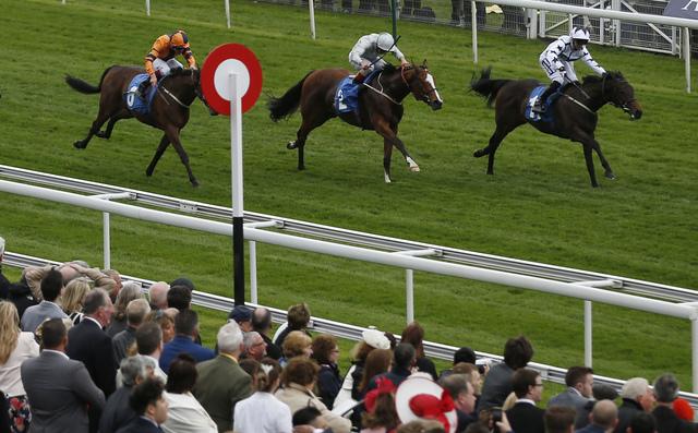 Alan Dudman goes for two big prices at York in a pair of handicaps 